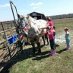 Meet your Posher, Robert